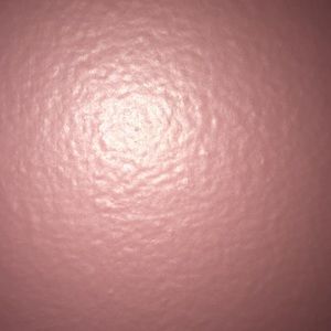 Meet your Posher, Ava